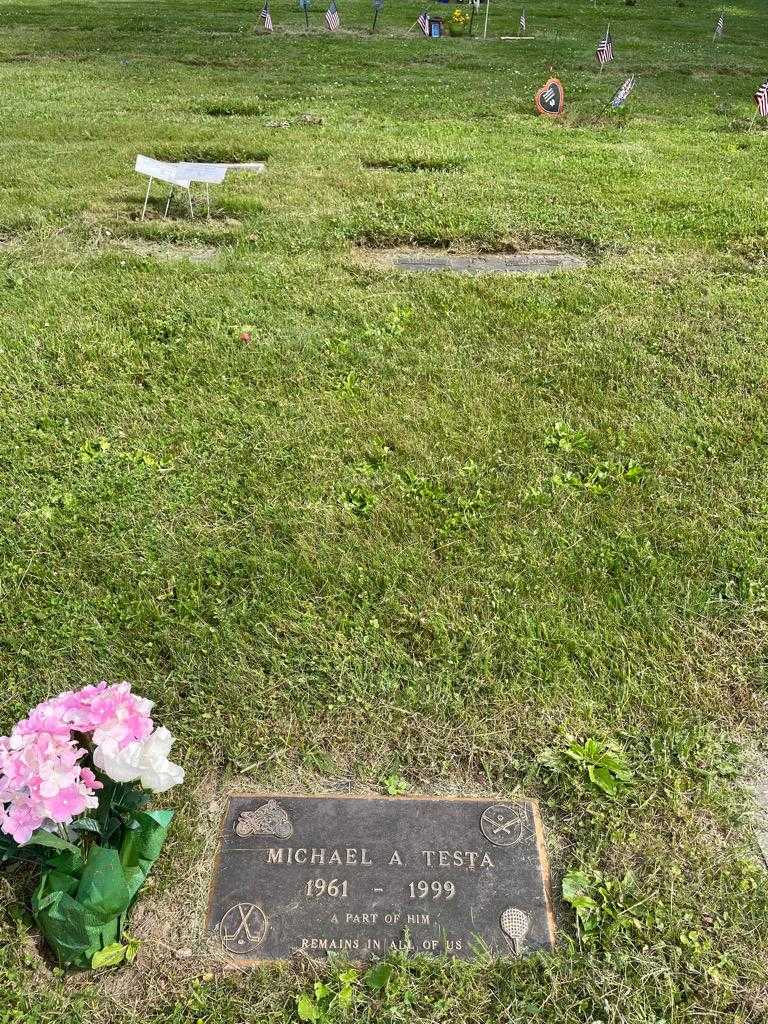 Michael A. Testa's grave. Photo 2