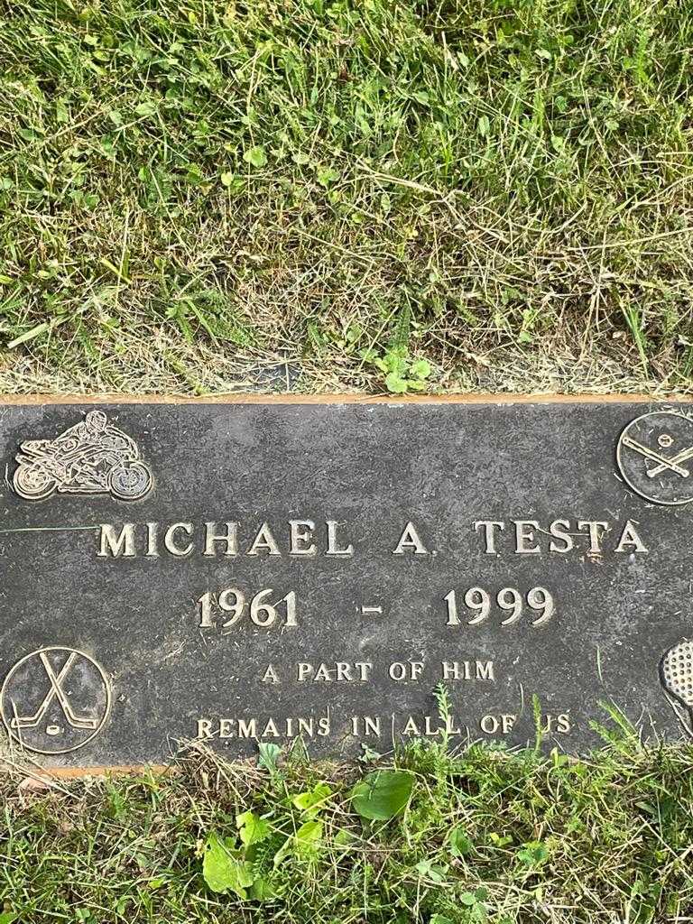 Michael A. Testa's grave. Photo 3