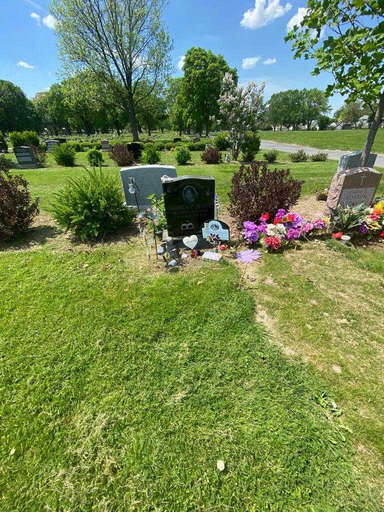 Andrea C. Scott's grave. Photo 1