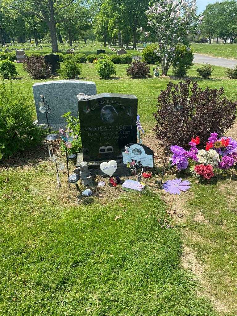 Andrea C. Scott's grave. Photo 2