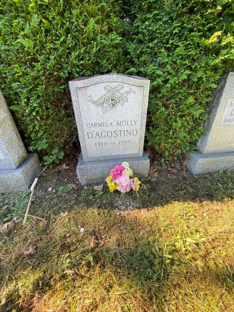 Carmela "Molly" D'Agostino's grave. Photo 1