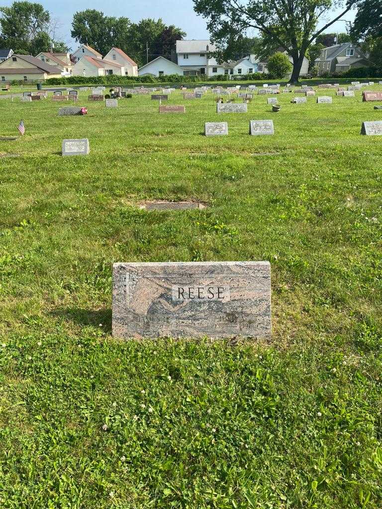 James L. Reese's grave. Photo 1