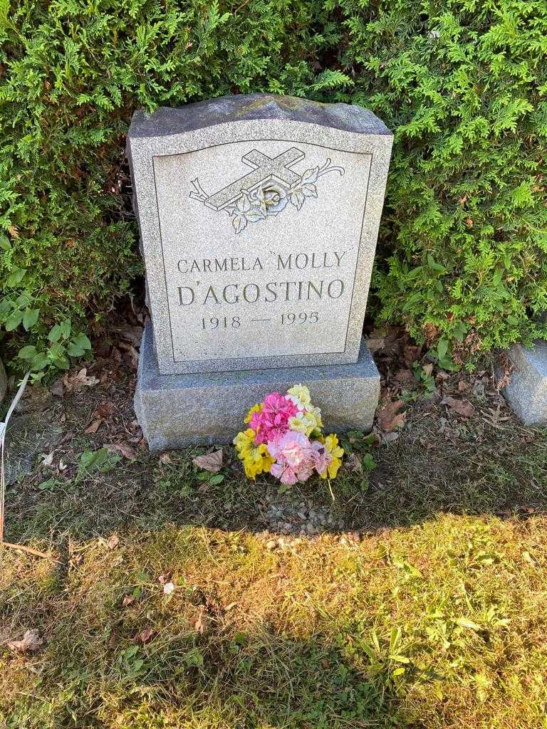 Carmela "Molly" D'Agostino's grave. Photo 2
