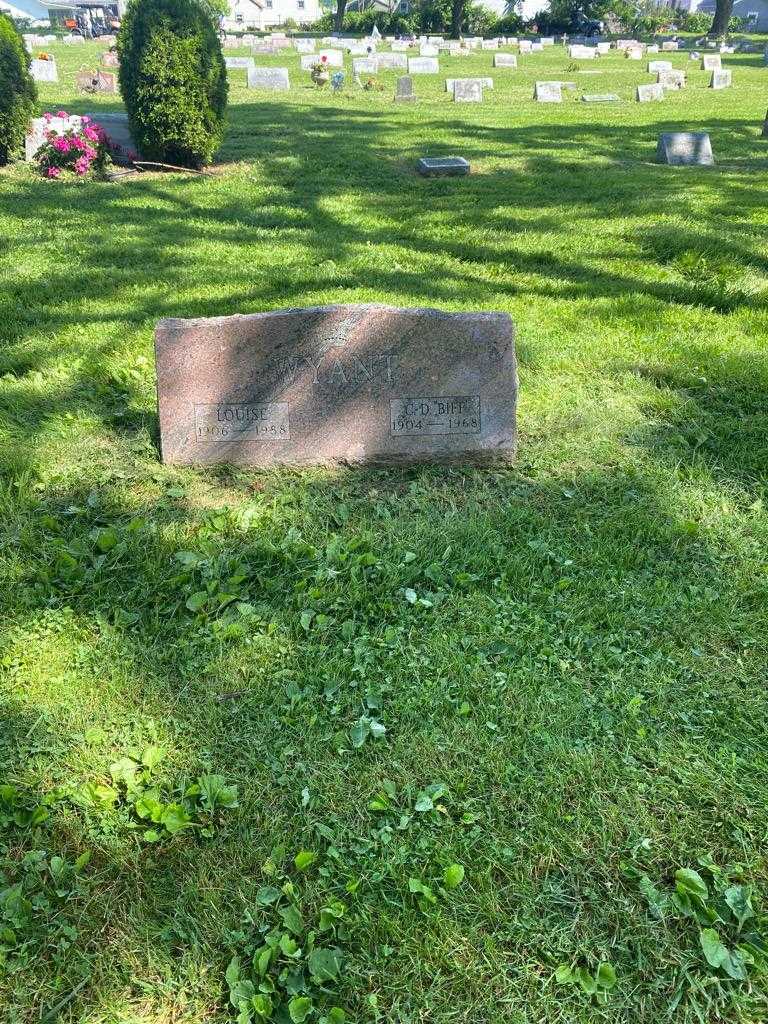 Louise Wyant's grave. Photo 2