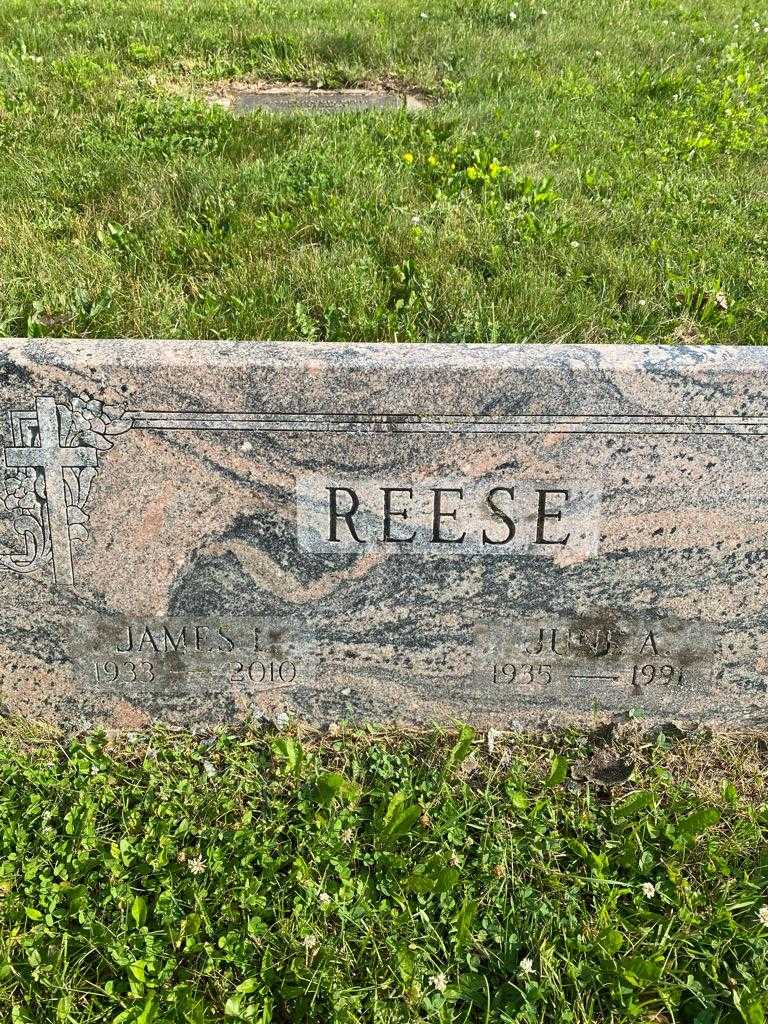 James L. Reese's grave. Photo 2