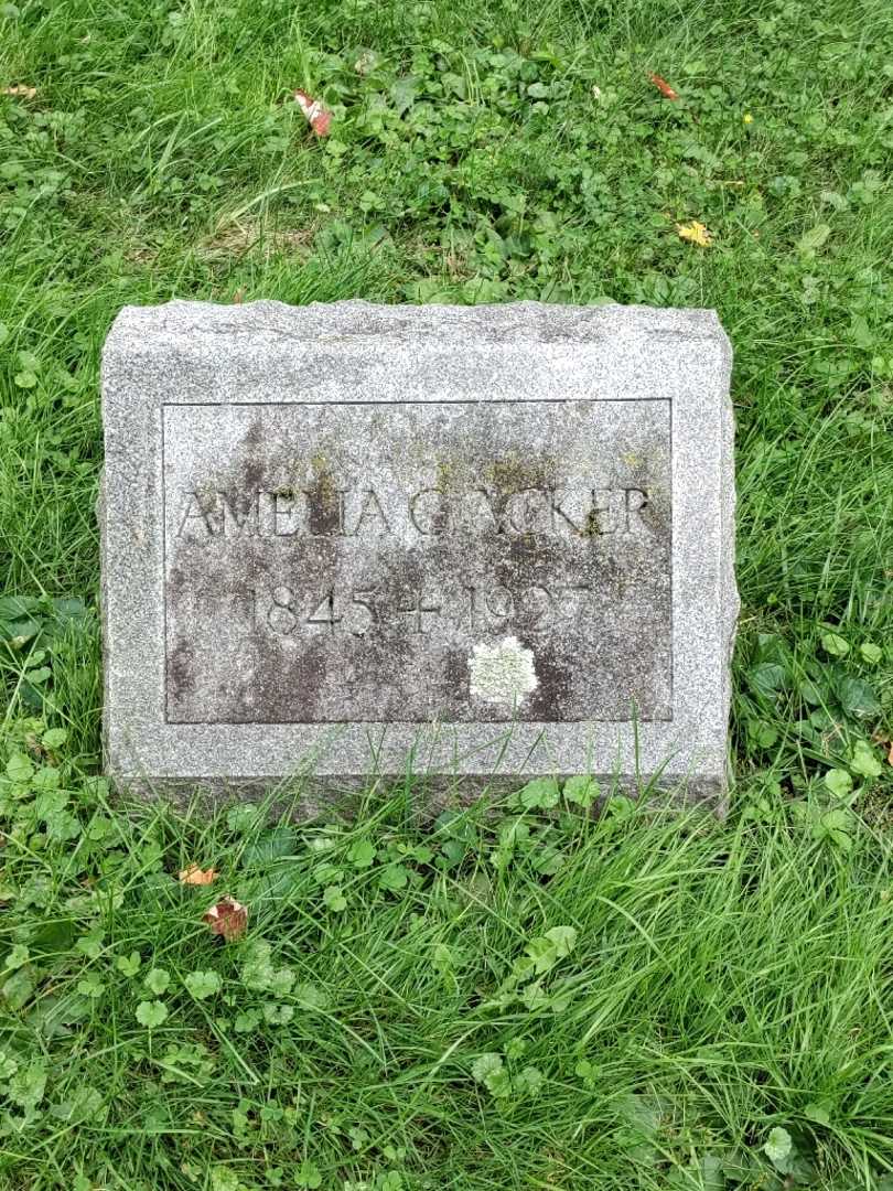Amelia C. Acker's grave. Photo 3