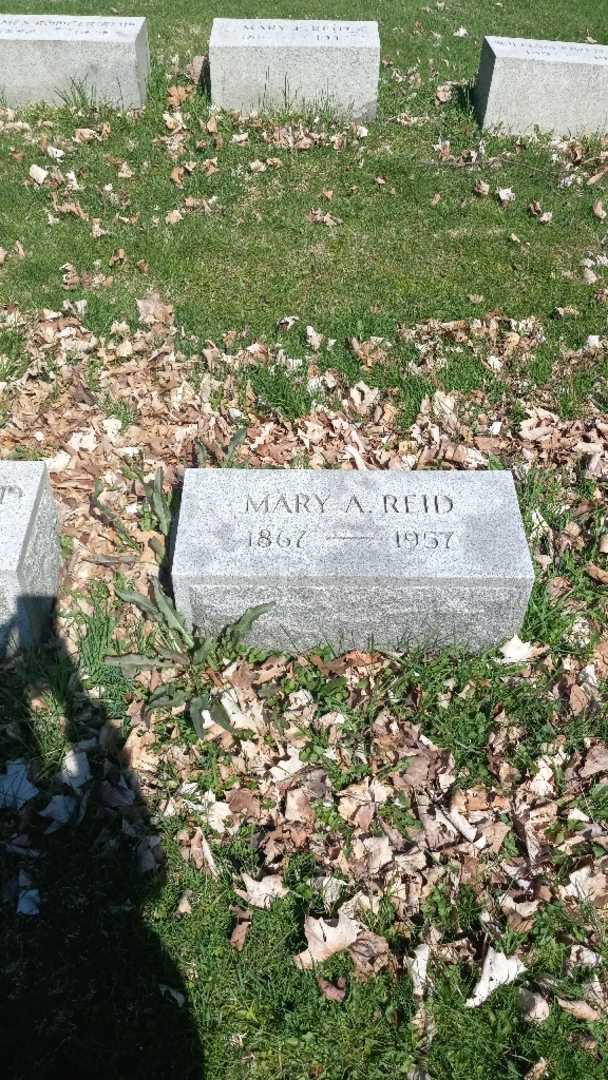 Mary Anne Reid's grave. Photo 2