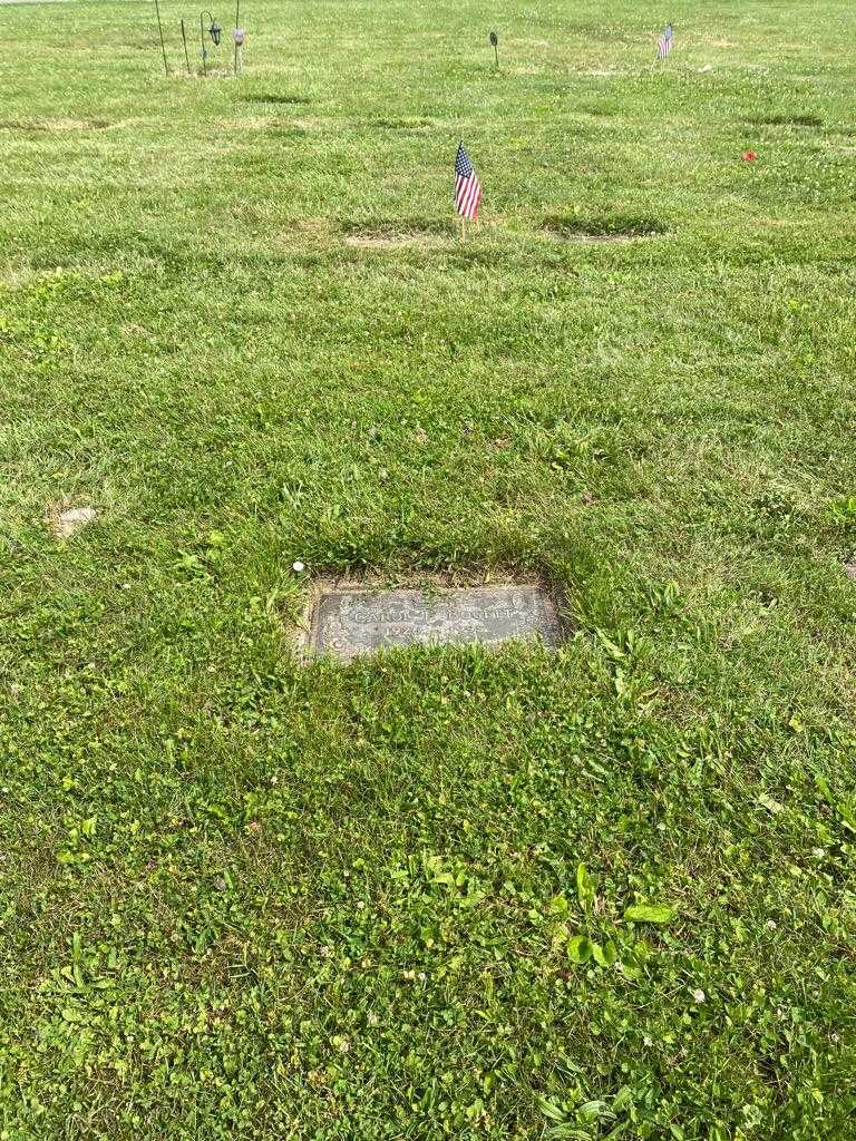 Carol P. Bogett's grave. Photo 2