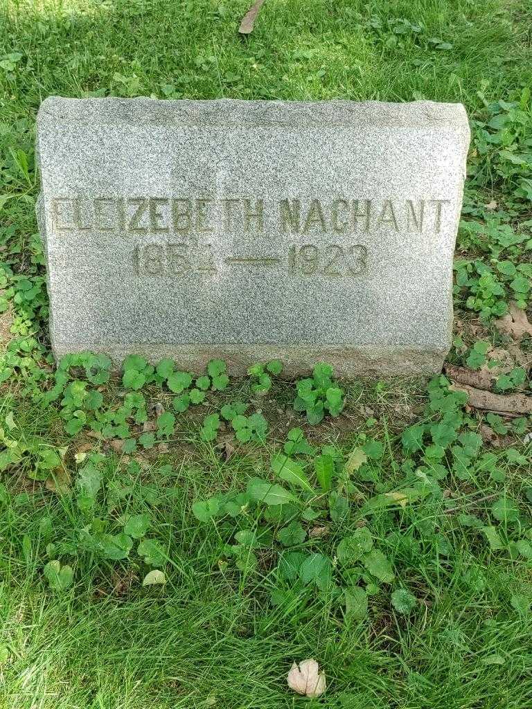 Eleizebeth Nachant's grave. Photo 3