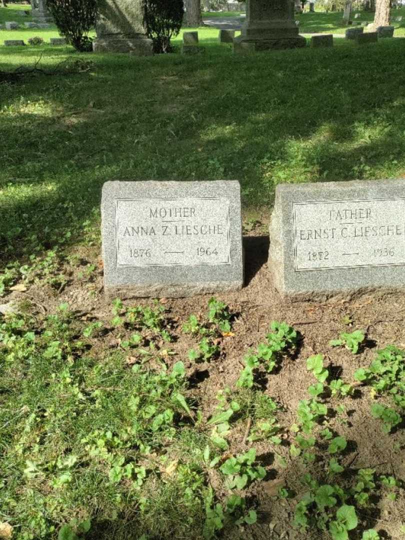 Anna Z. Liesche's grave. Photo 3