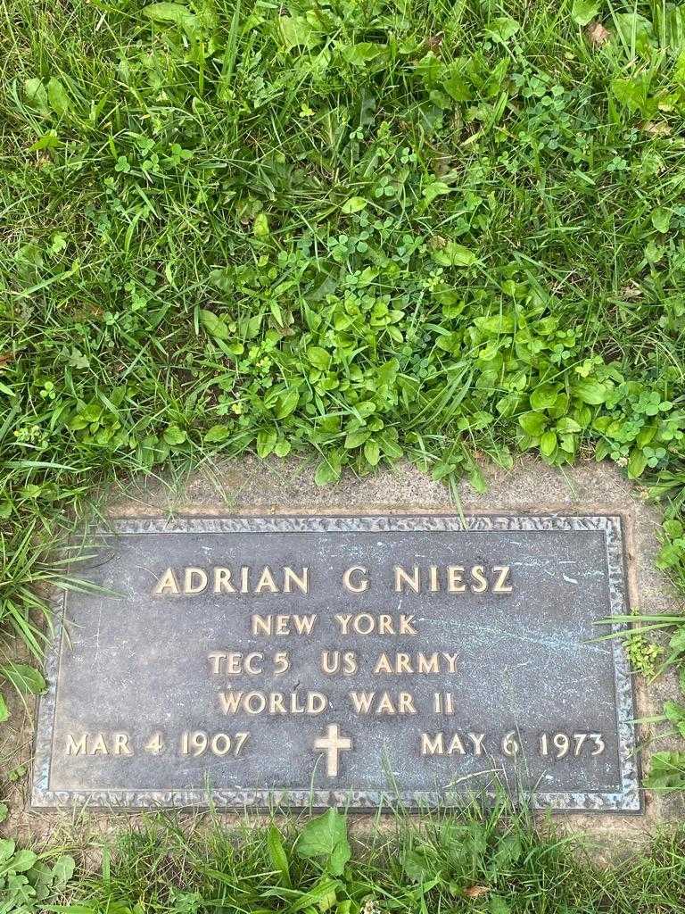 Adrian G. Niesz's grave. Photo 4
