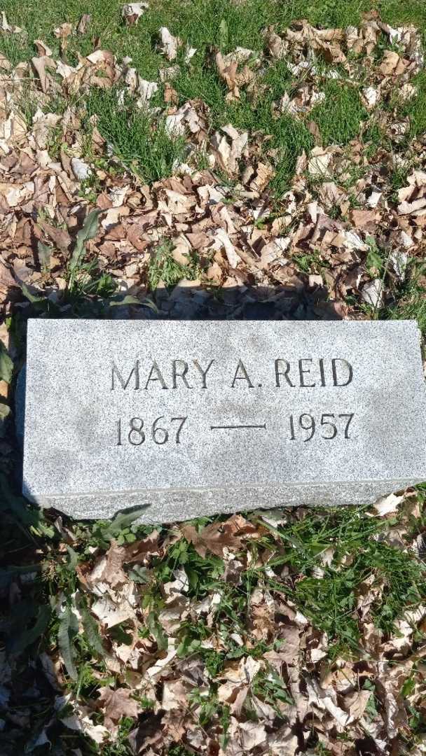 Mary Anne Reid's grave. Photo 3