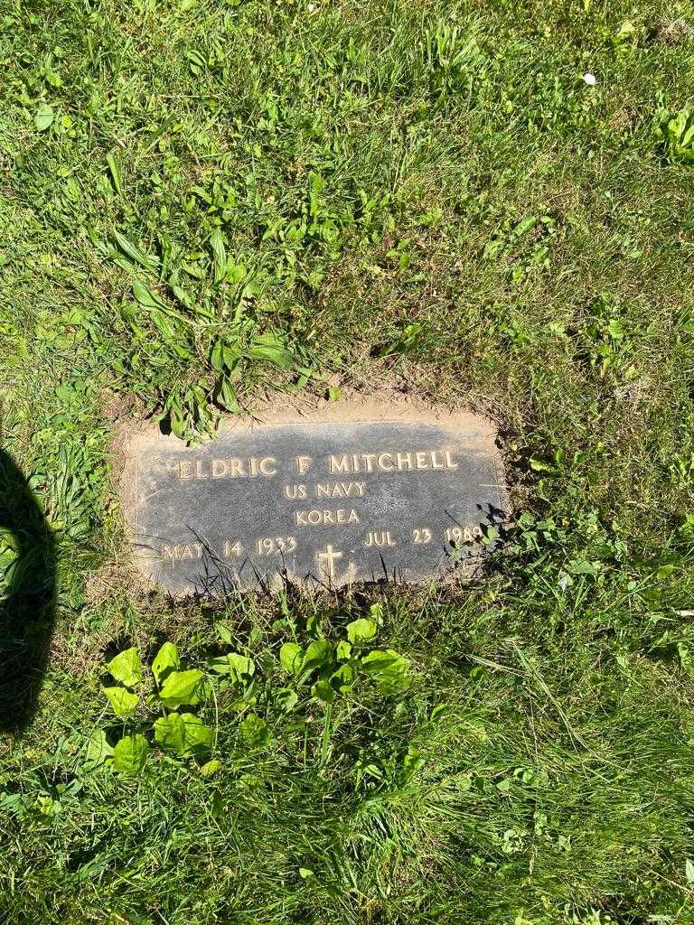 Eldric F. Mitchell's grave. Photo 3