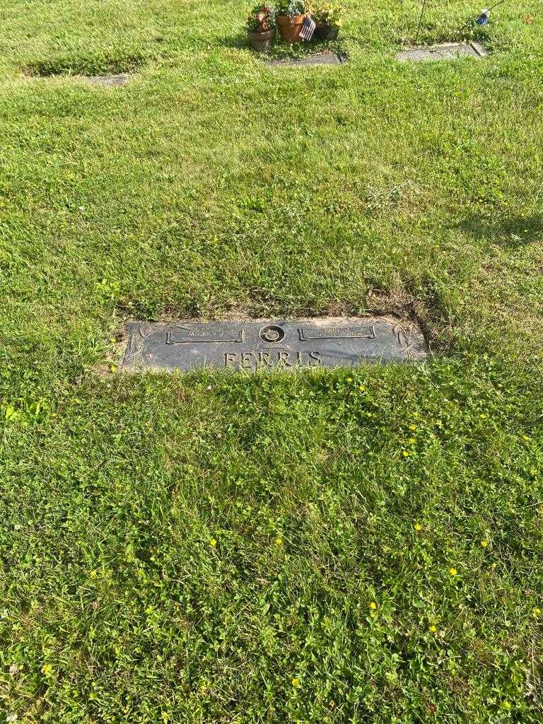 Paul J. Ferris's grave. Photo 2
