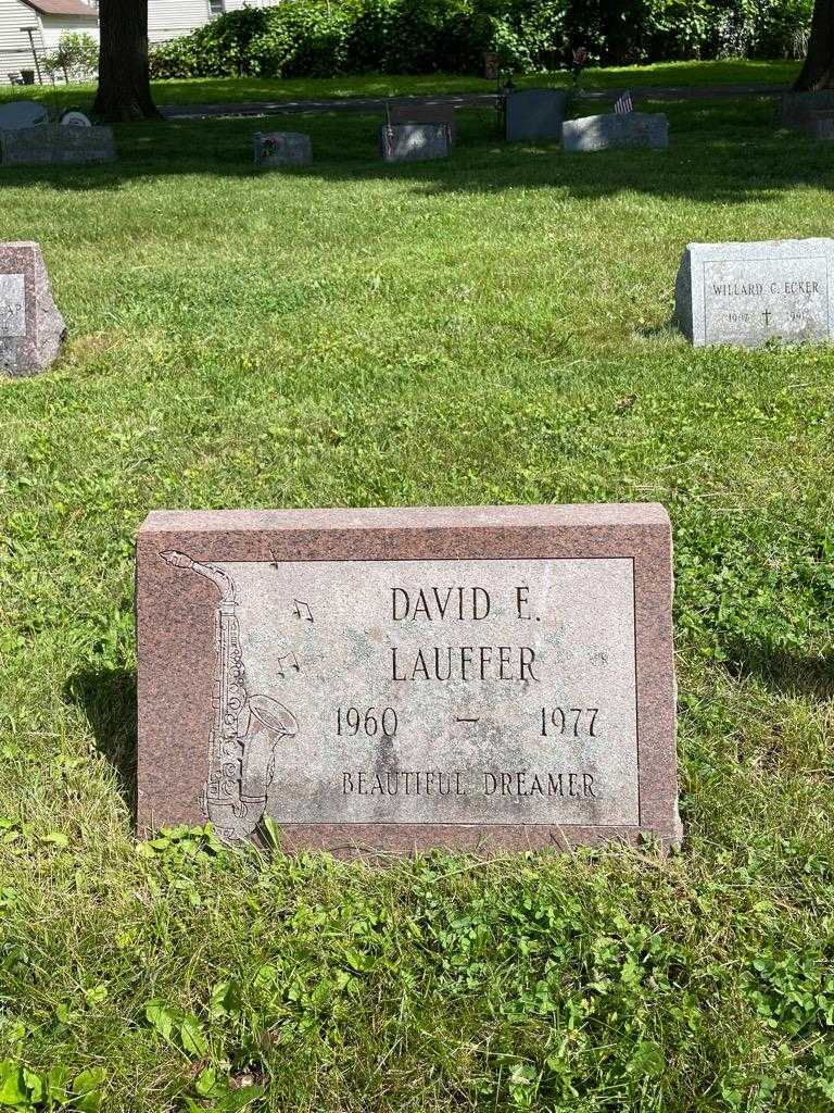 David E. Lauffer's grave. Photo 2