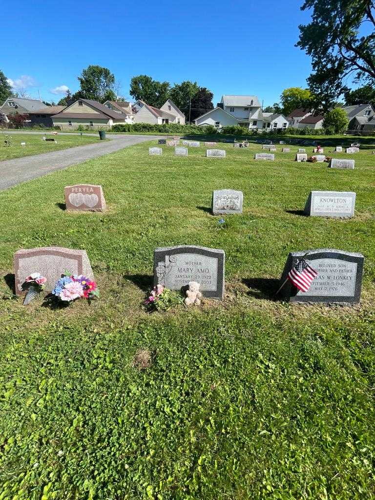 Cheyenne Wilkins's grave. Photo 1