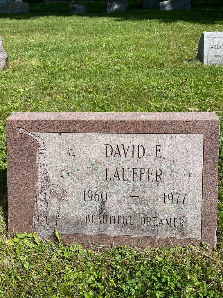 David E. Lauffer's grave. Photo 3