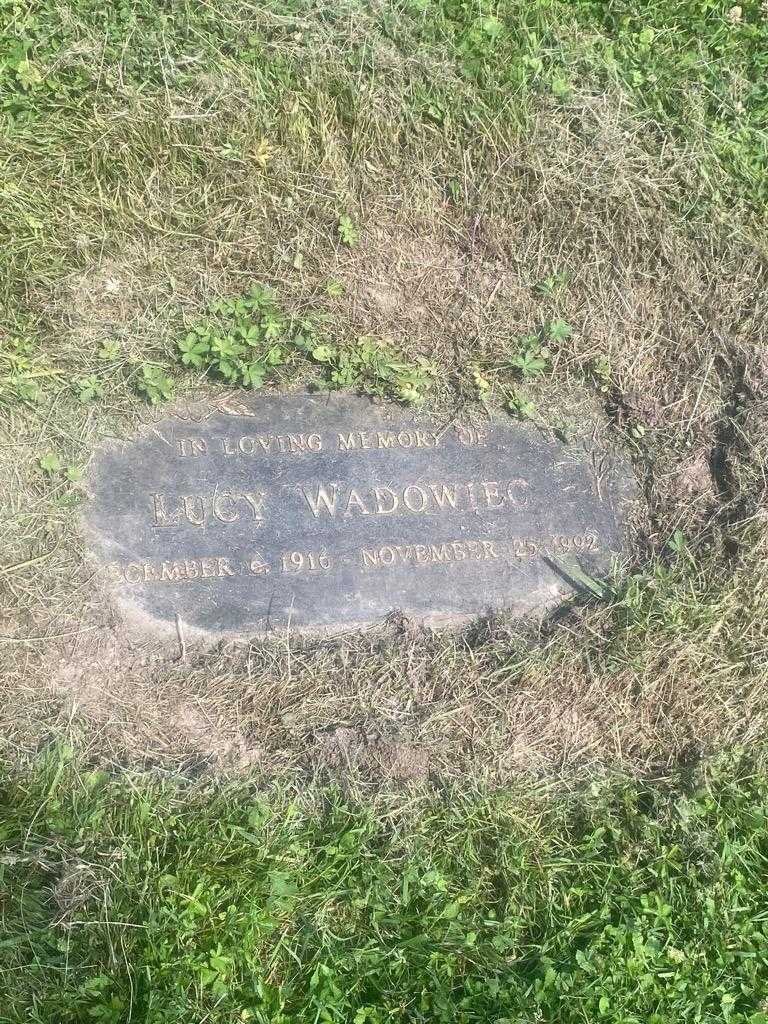 Lucy Wadowiec's grave. Photo 3