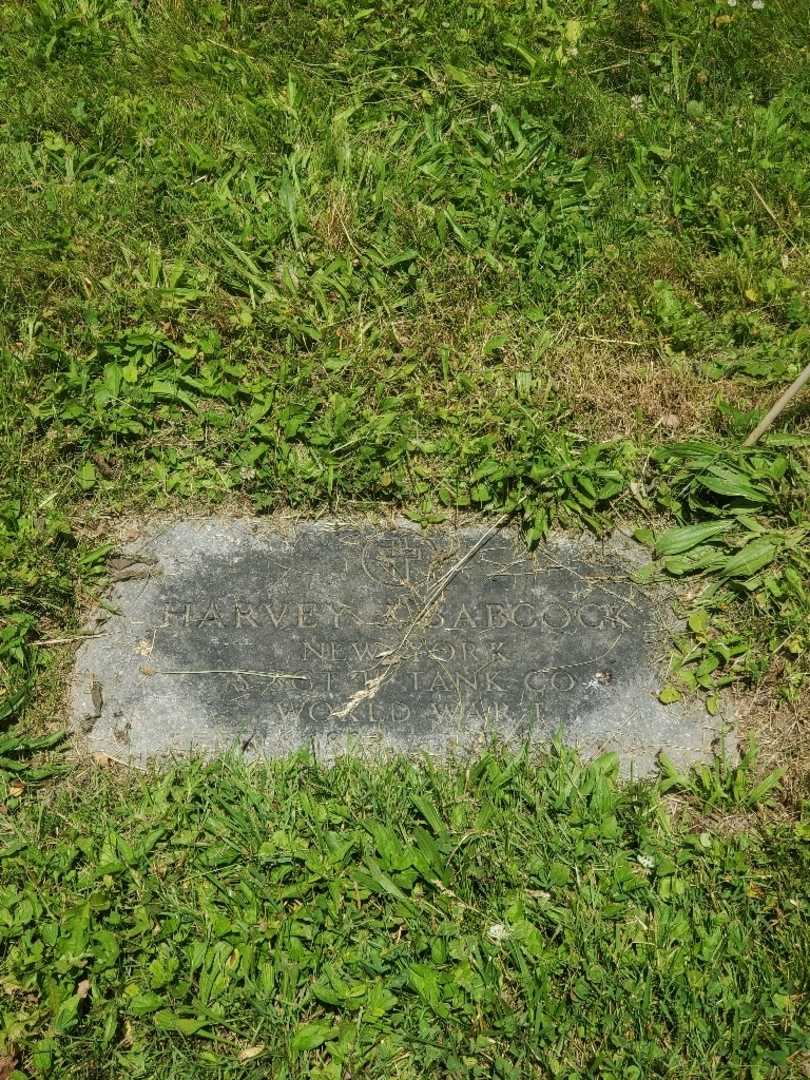 Harvey J. Babcock's grave. Photo 4
