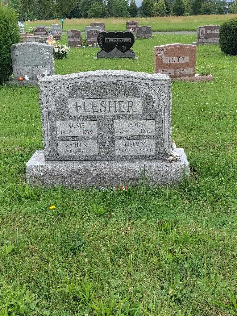 Harry Flesher's grave. Photo 2