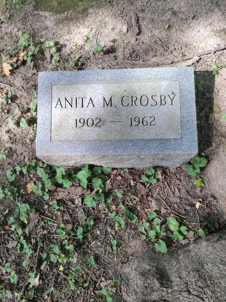 Anita M. Crosby's grave. Photo 2