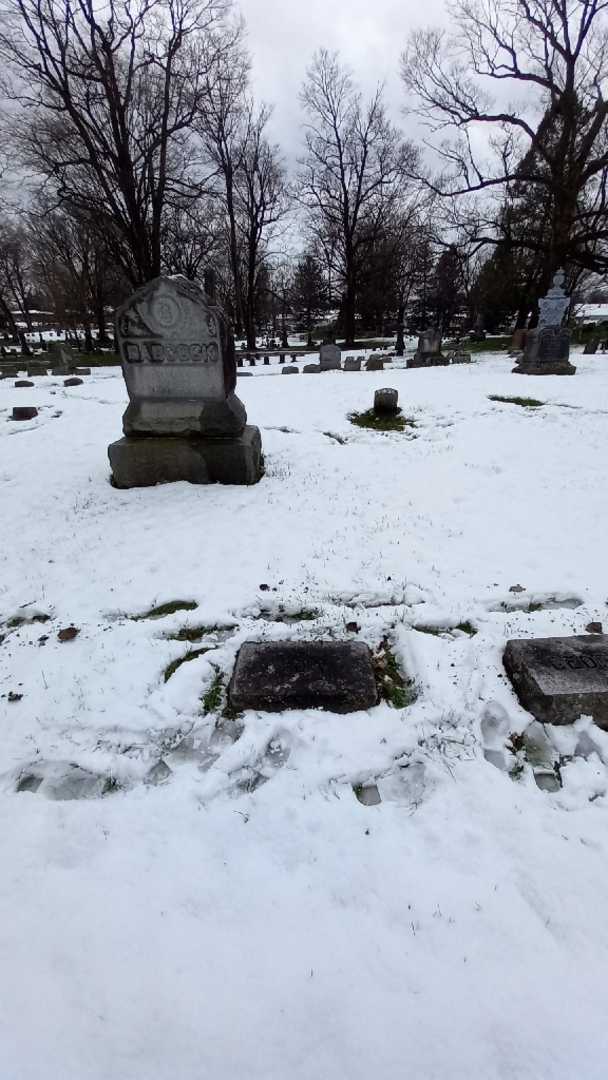 Ida L. Babcock's grave. Photo 1