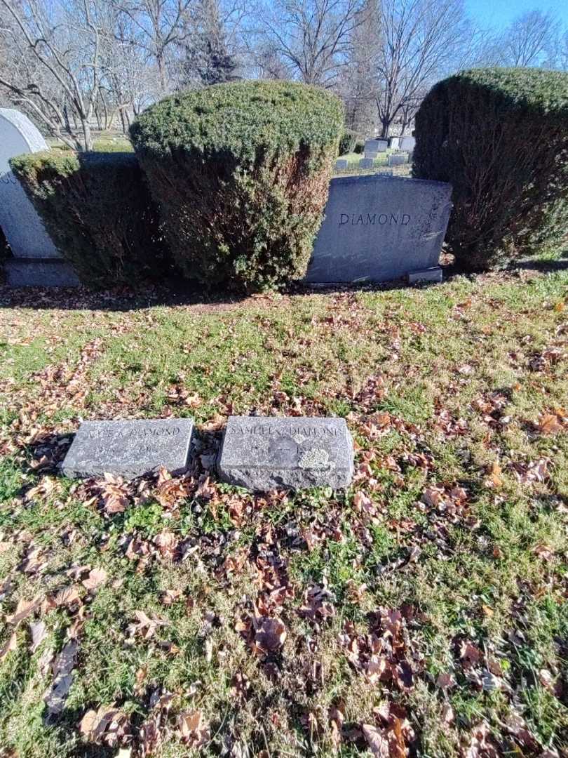 Samuel C. Diamond's grave. Photo 1