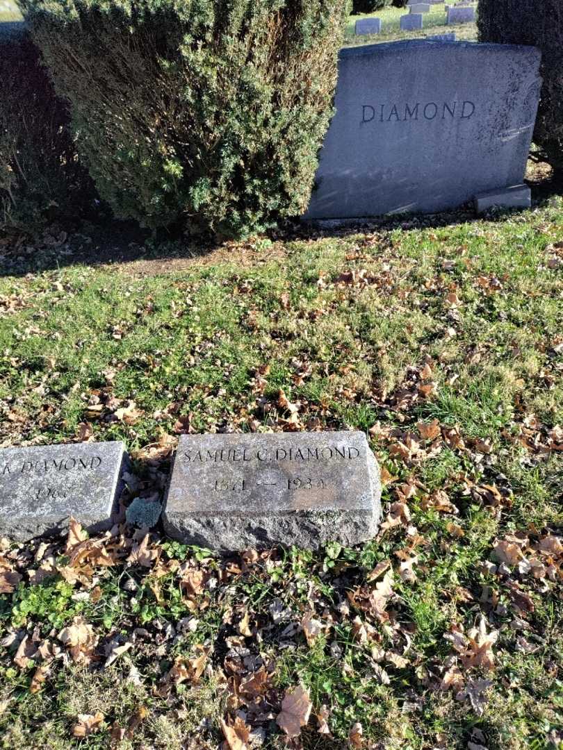 Samuel C. Diamond's grave. Photo 2