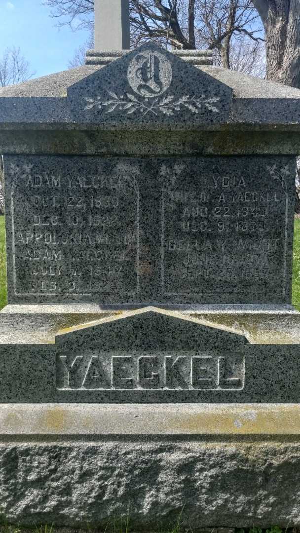 Adam Yaeckel's grave. Photo 3