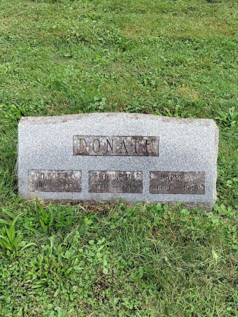 Harry A. Donath's grave. Photo 2