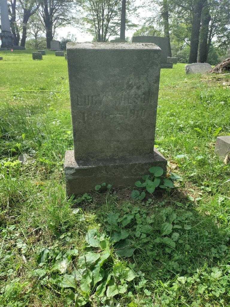 Lucy M. Wilson's grave. Photo 2