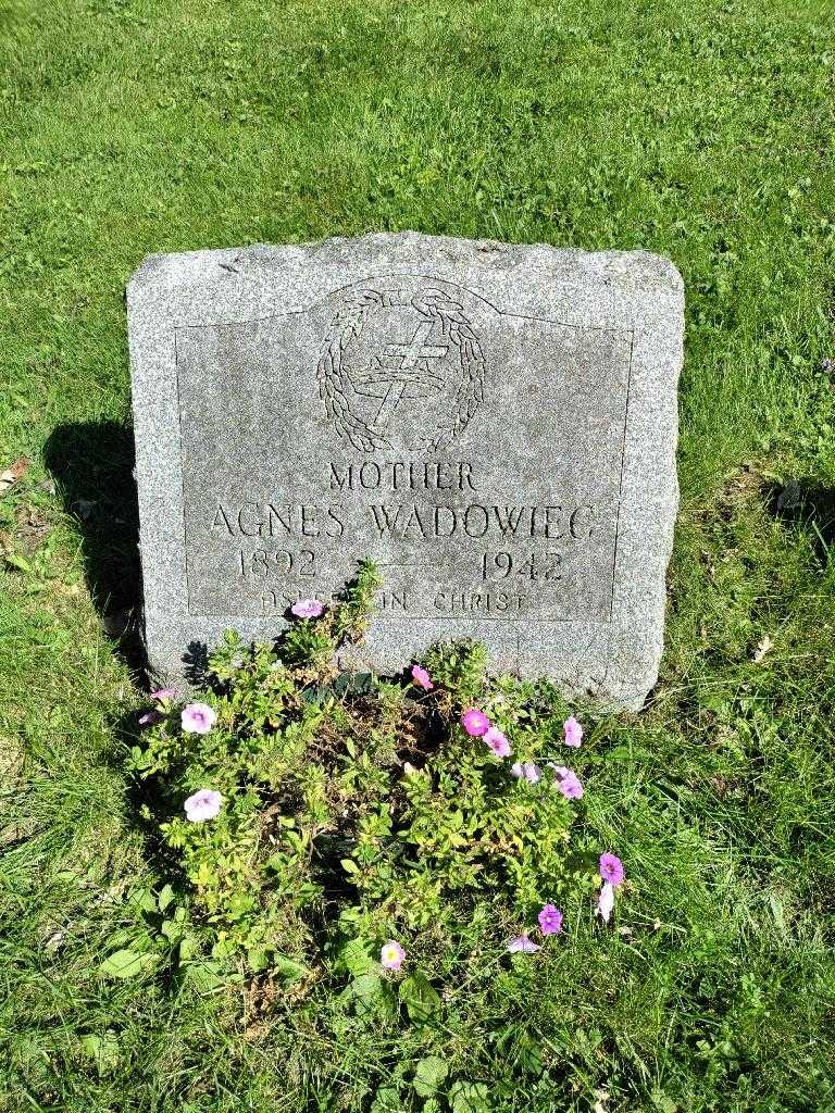 Agnes Wadowiec's grave. Photo 2