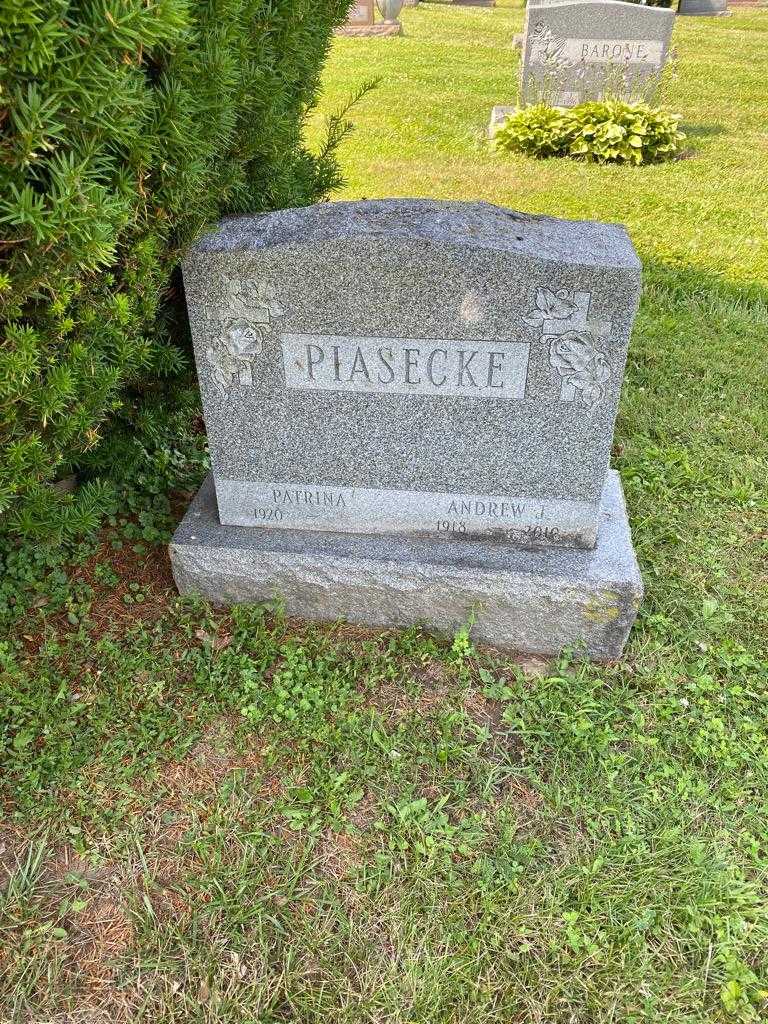 Andrew J. Piasecke's grave. Photo 2