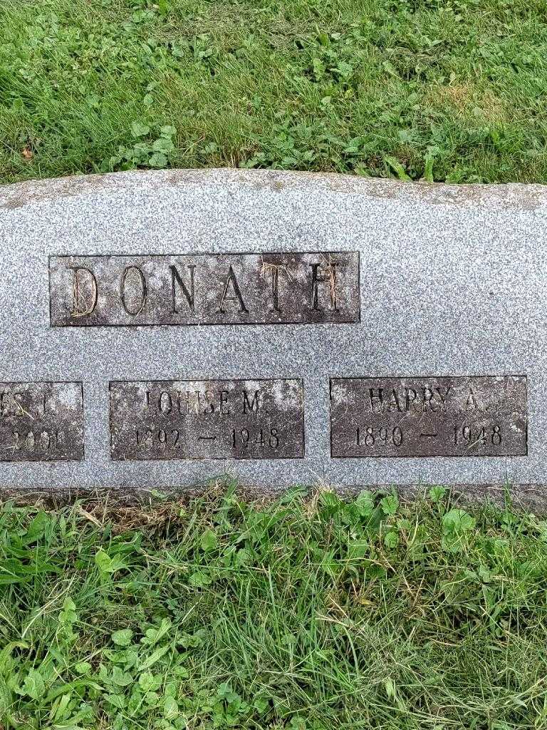 Harry A. Donath's grave. Photo 3