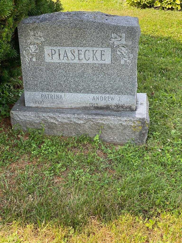 Andrew J. Piasecke's grave. Photo 3