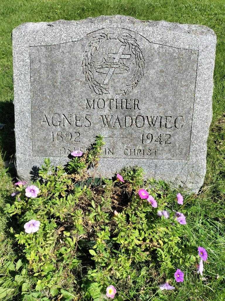 Agnes Wadowiec's grave. Photo 3