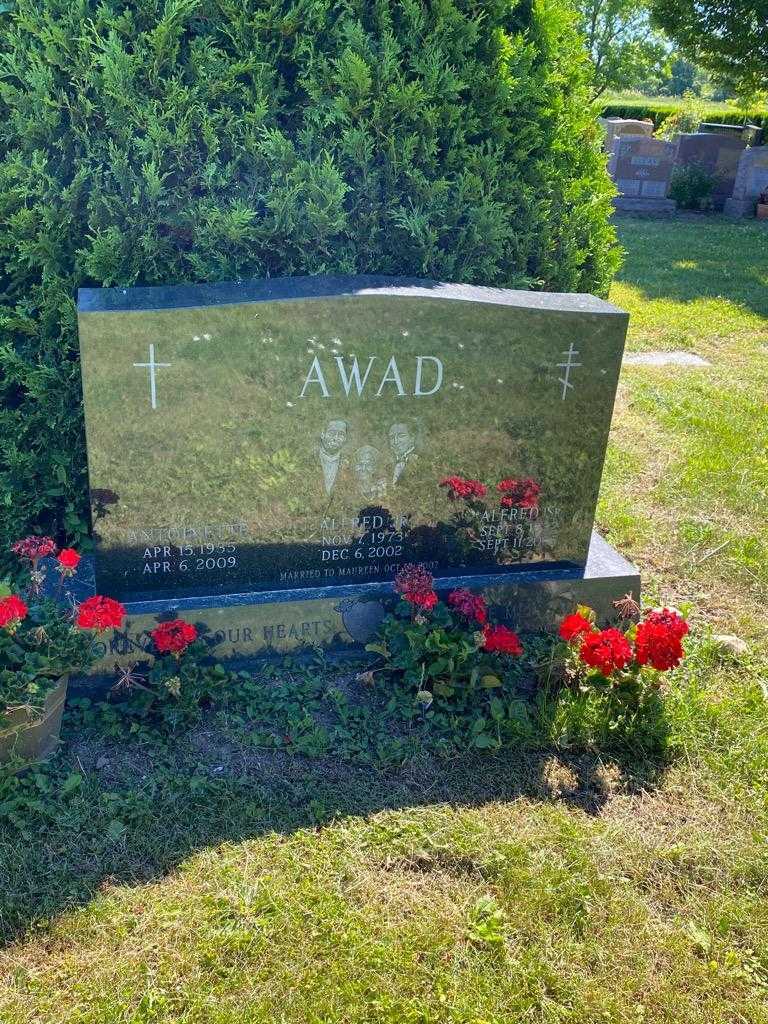 Alfred J. Awad Junior's grave. Photo 2
