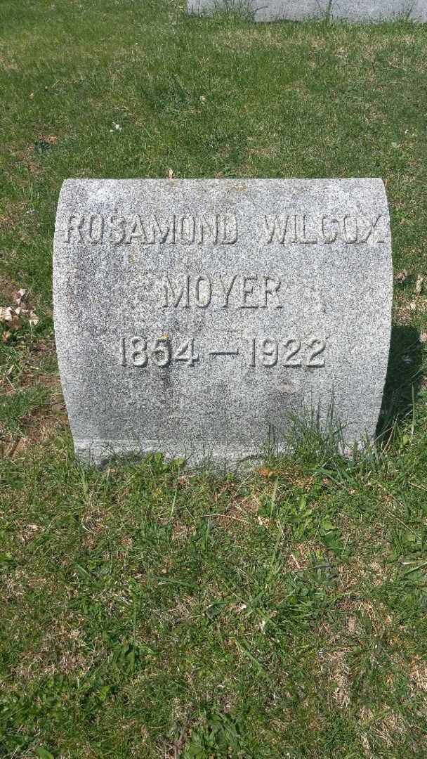 Rosamond Wilcox Moyer's grave. Photo 3