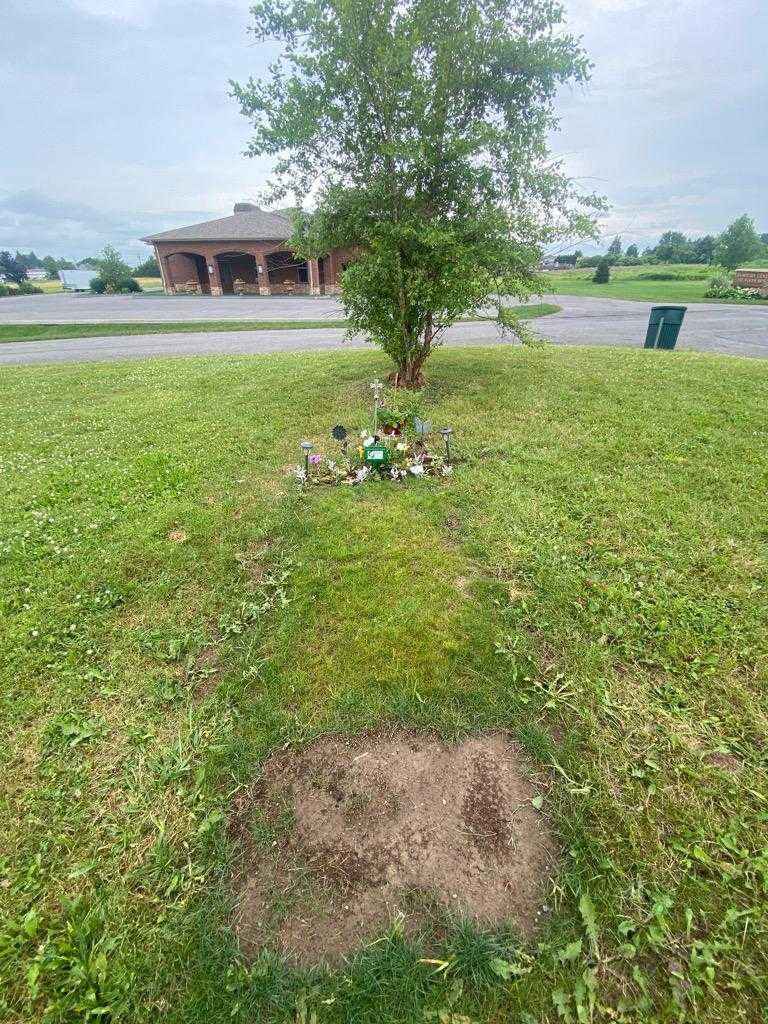 Michael D. Hathorn Senior's grave. Photo 1