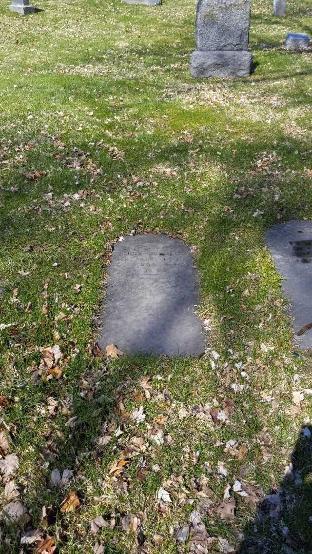 Louis Oswald's grave. Photo 2