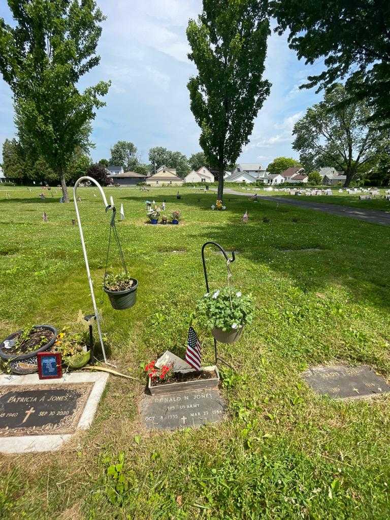 Donald N. Jones's grave. Photo 1