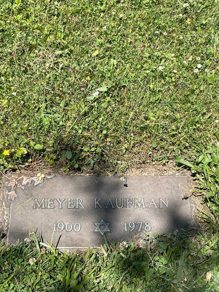 Meyer Kaufman's grave. Photo 2