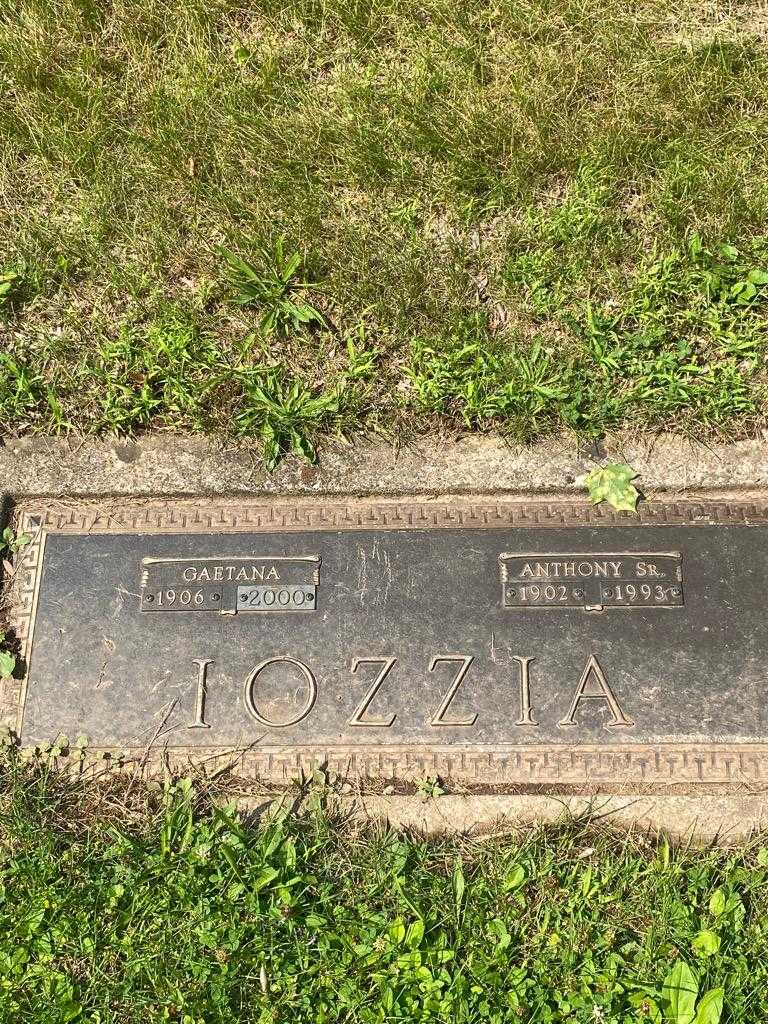 Anthony Iozzia Senior's grave. Photo 3