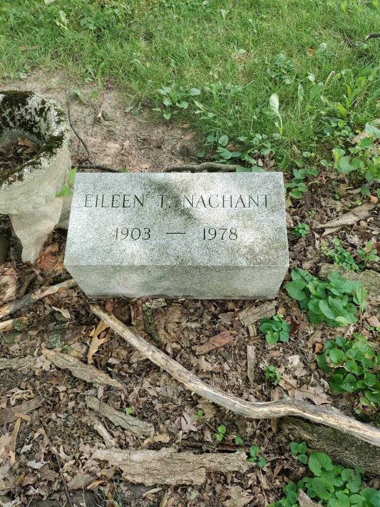 Eileen T. Nachant's grave. Photo 2