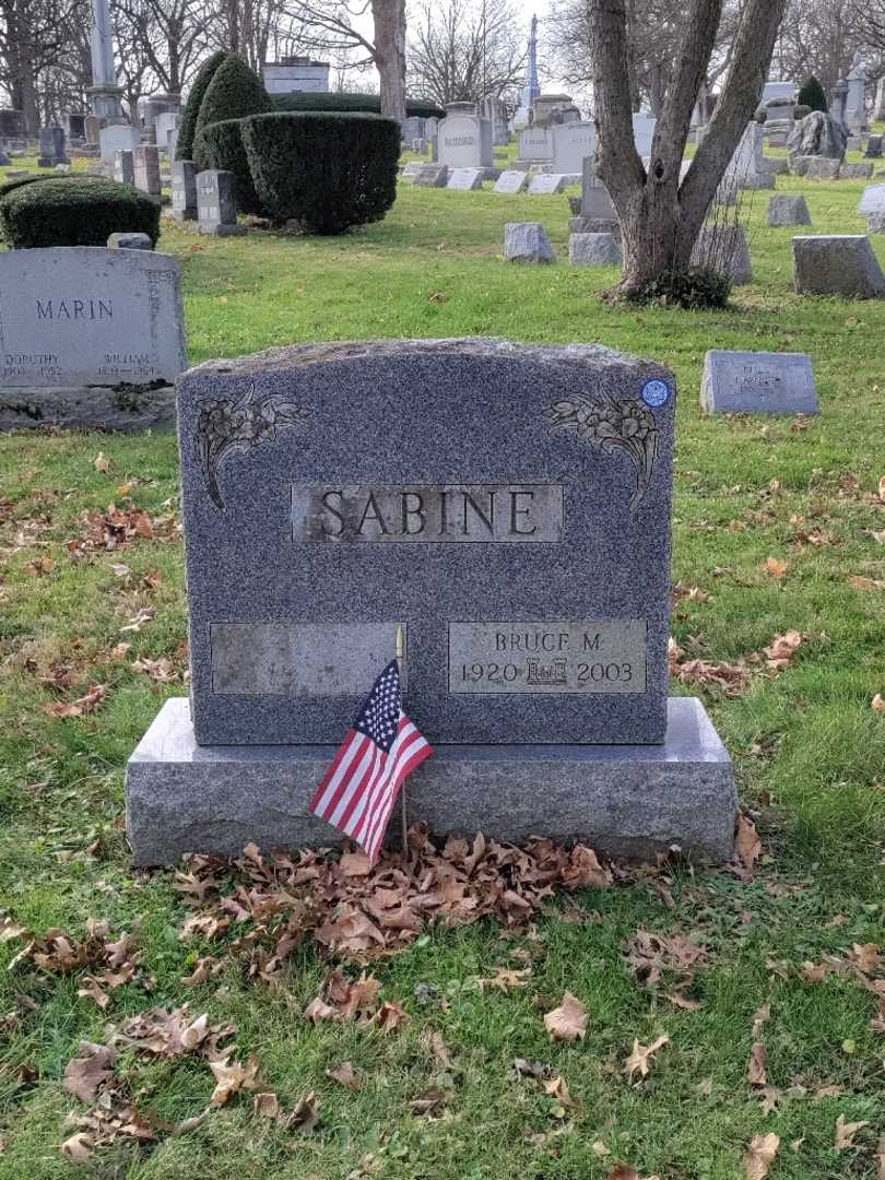Bruce M. Sabine's grave. Photo 3