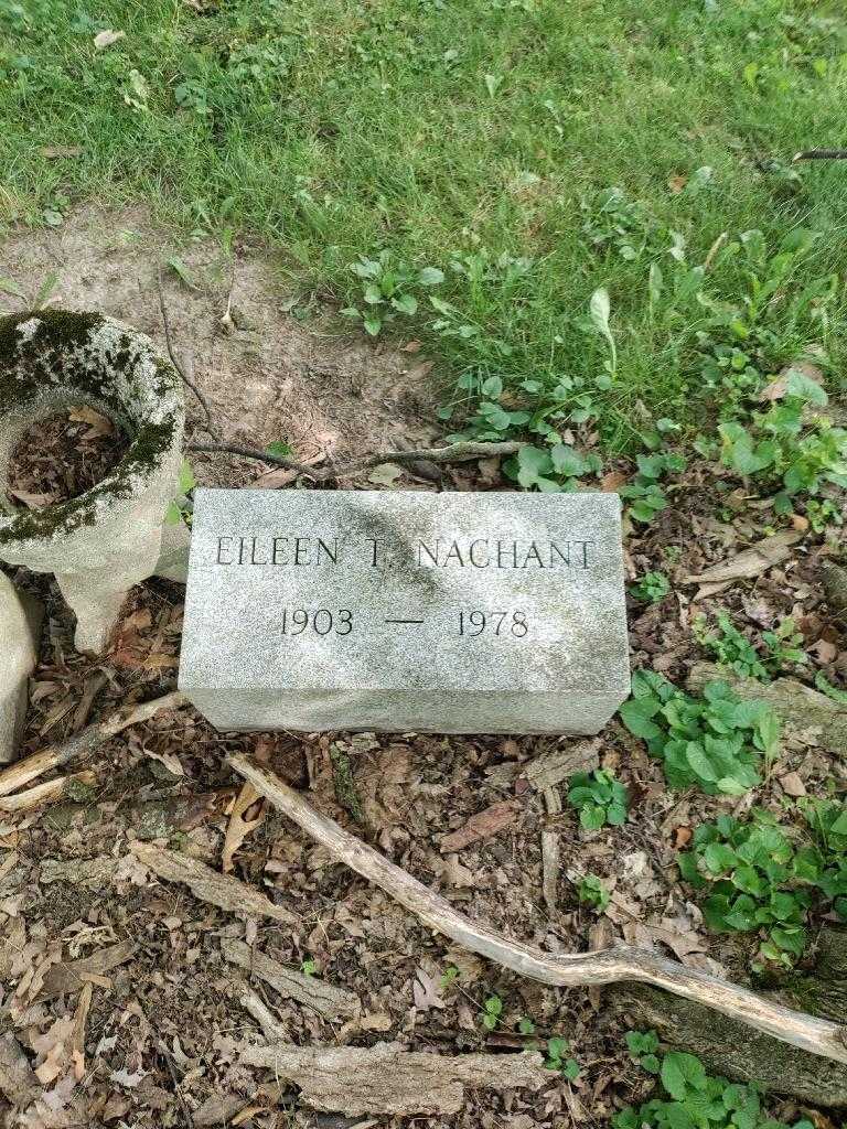 Eileen T. Nachant's grave. Photo 3