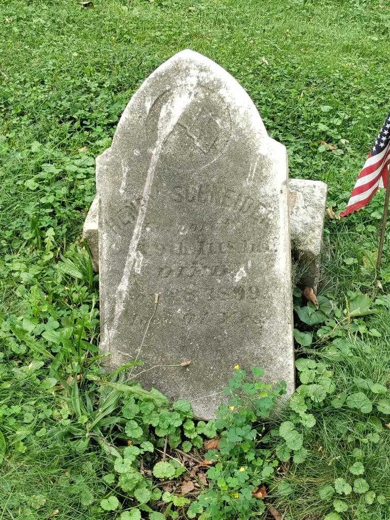 Henry W. Schneider's grave. Photo 3