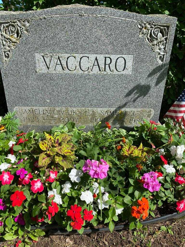 Amelia Vaccaro Civiok's grave. Photo 2