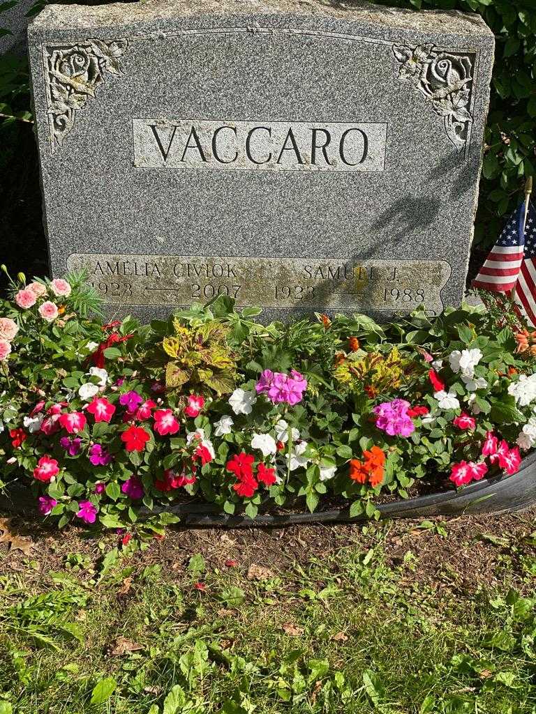 Amelia Vaccaro Civiok's grave. Photo 3
