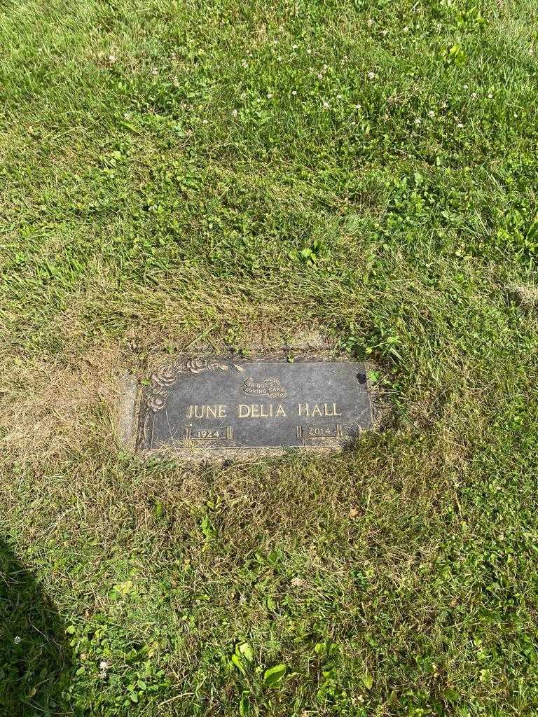 June Delia Hall's grave. Photo 3
